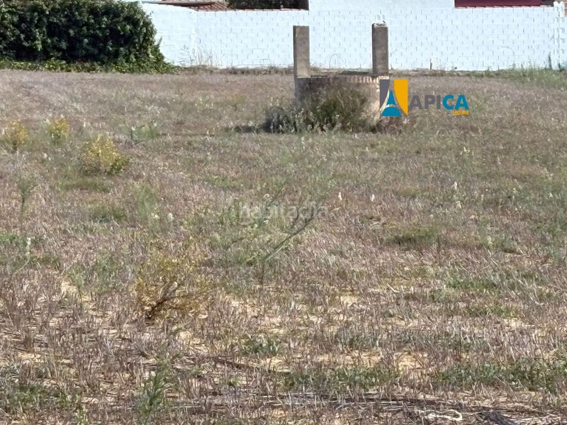 Foto 7d15f8ab-a71c-4c4f-80d7-e755fda403ff. Finca rústica parcela segregada en zona el marquesado, . en Chiclana de la Frontera