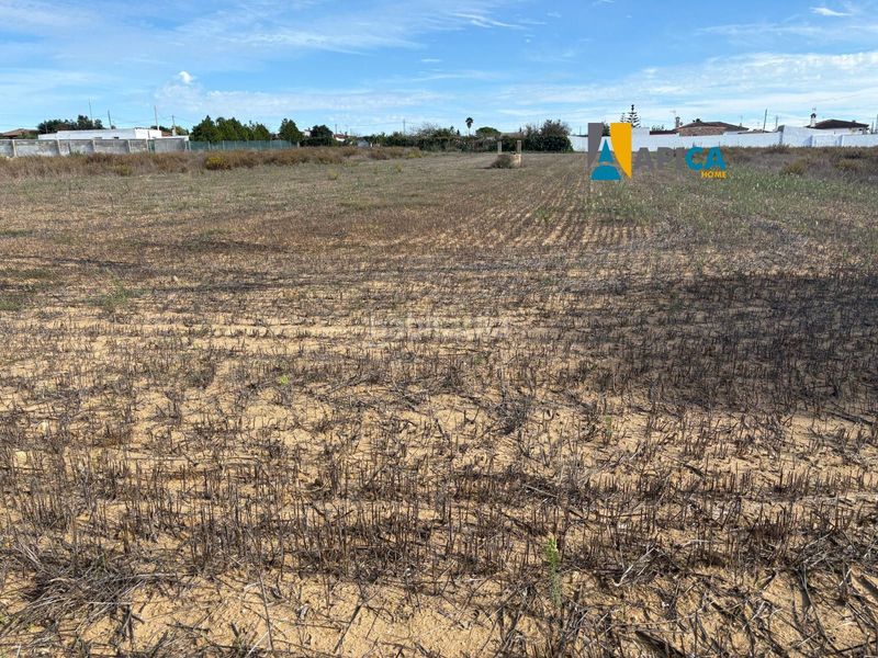 Foto 7d4b3fef-07a0-4729-90de-078aee32cbc3. Finca rústica parcela segregada en zona el marquesado, . en Chiclana de la Frontera