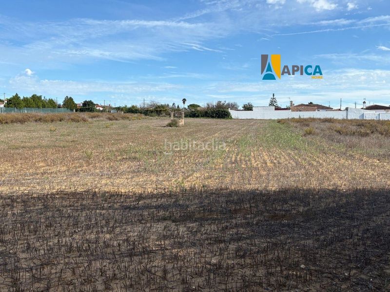 Foto 96ad325b-4c59-4ae2-81b7-101da59f7519. Finca rústica parcela segregada en zona el marquesado, . en Chiclana de la Frontera