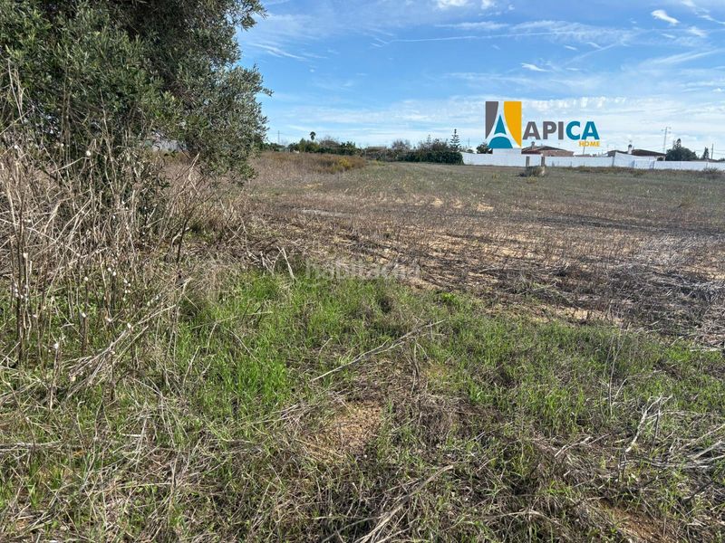 Foto b3da1e72-18a7-4a1f-90c4-594f94a99679. Finca rústica parcela segregada en zona el marquesado, . en Chiclana de la Frontera