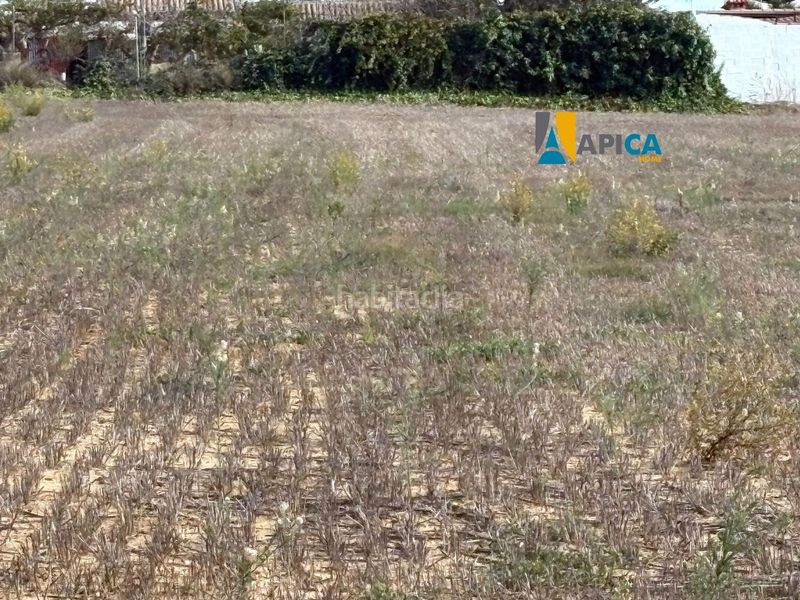 Foto beab08b5-29b0-4699-a56b-1ab40ca6f8ca. Finca rústica parcela segregada en zona el marquesado, . en Chiclana de la Frontera