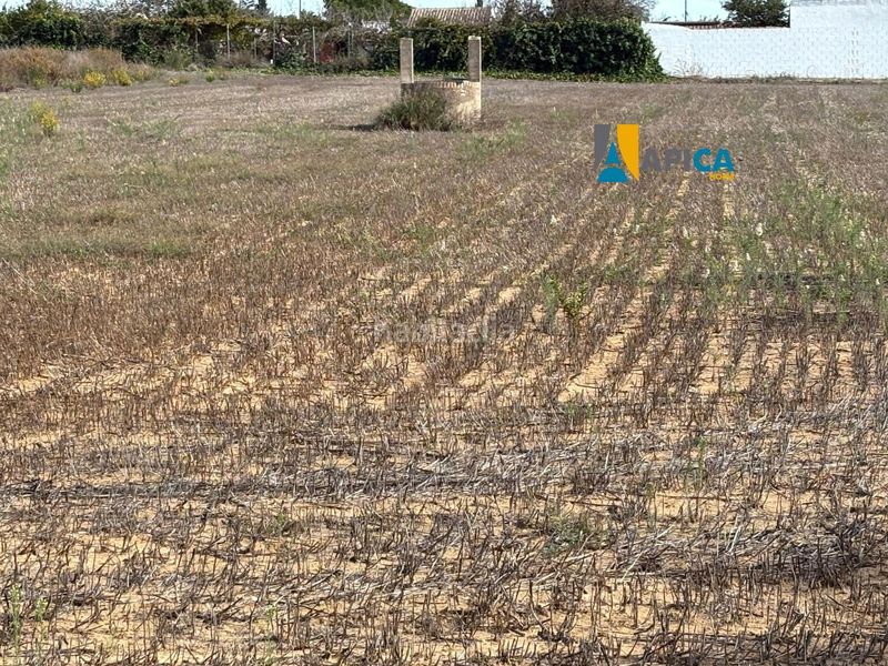 Foto e2e35abf-d5b8-4de1-bbed-c7746982624d. Finca rústica parcela segregada en zona el marquesado, . en Chiclana de la Frontera