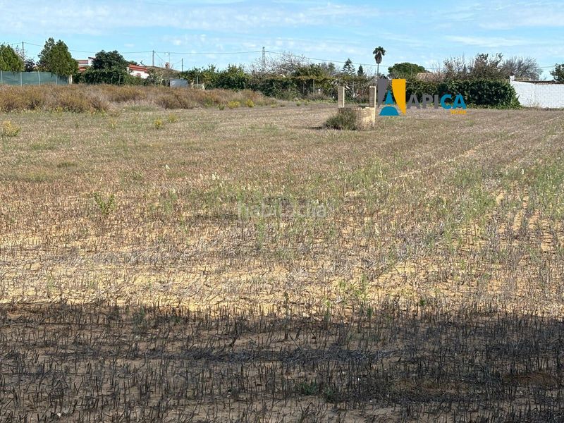 Foto ea93a831-012c-4bbc-9043-d6699d916e4a. Finca rústica parcela segregada en zona el marquesado, . en Chiclana de la Frontera