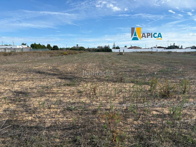 Foto ec52b7a3-76c4-4a76-9bcb-0d30133ff863. Finca rústica parcela segregada en zona el marquesado, . en Chiclana de la Frontera