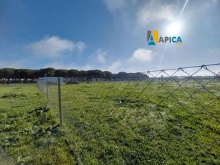 Finca rústica a Conil. Parcela en venta en conil de la frontera, zona parcelas de roche
