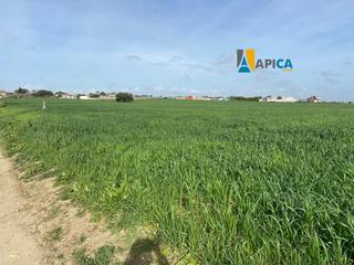 Finca rústica a Los Franceses - La Vega. Parcela rústica, y segregada, marquesado. chiclana de la fronter