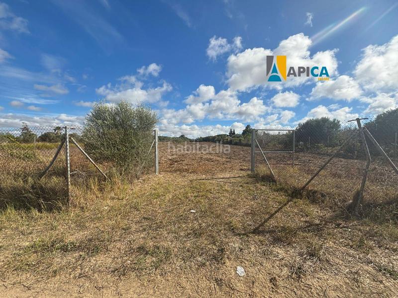 Foto 17a4a536-1e85-4230-b761-e625255badcb. Finca rústica a Pelagatos - Pago del Humo Chiclana de la Frontera