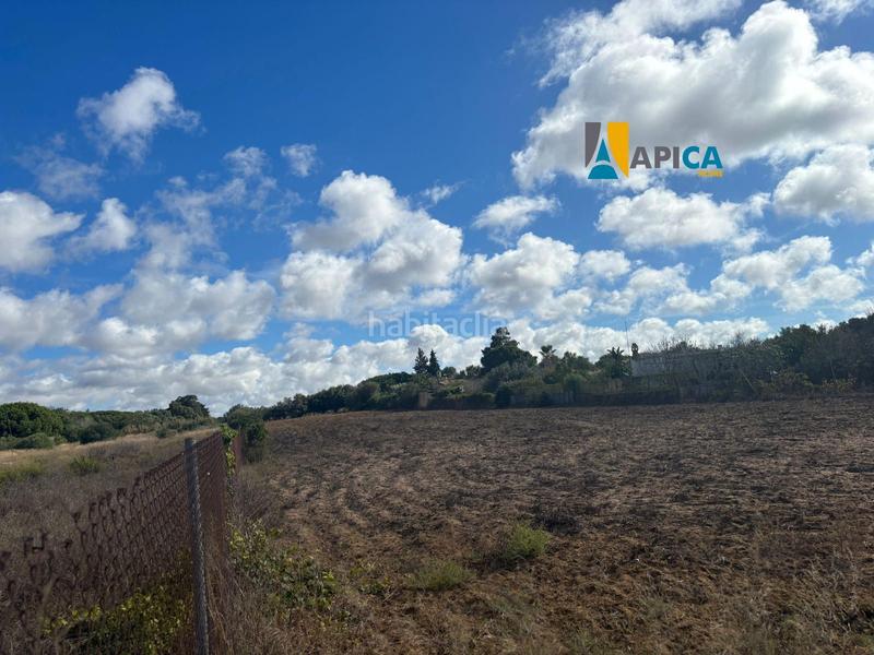 Foto 327e8afa-19da-4b4d-a550-5b8a1da358f6. Finca rústica a Pelagatos - Pago del Humo Chiclana de la Frontera
