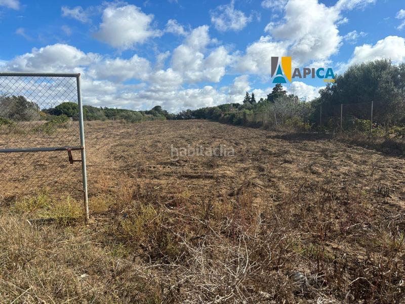 Foto 53b35eeb-dfd9-40b2-b660-b3a3ed614b0c. Finca rústica a Pelagatos - Pago del Humo Chiclana de la Frontera