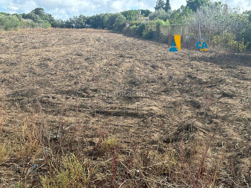 Foto c61a733f-024a-45a3-b58c-3f2e8a42283c. Finca rústica a Pelagatos - Pago del Humo Chiclana de la Frontera