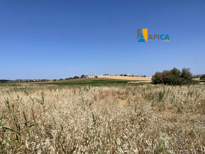 Foto 3675fc7a-22e9-44ba-a468-ddeaae81c269. Fondo rustico in Conil Conil de la Frontera