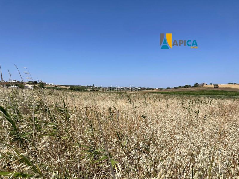 Foto 78bf15e1-eb52-47b9-8fb5-893603ee01eb. Fondo rustico in Conil Conil de la Frontera