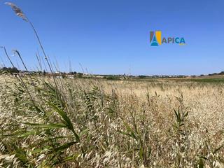Finca rústica a Conil. Parcela en venta en conil de la frontera, zona roche viejo.