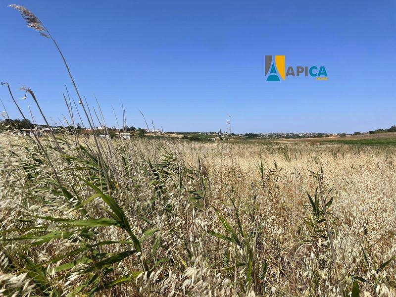 Foto 83c15268-cc98-4266-ada2-c20d1874ad70. Fondo rustico in Conil Conil de la Frontera