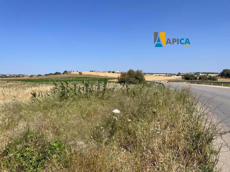 Foto c530c16b-14c7-4b61-8782-a6897b1edbab. Fondo rustico in Conil Conil de la Frontera