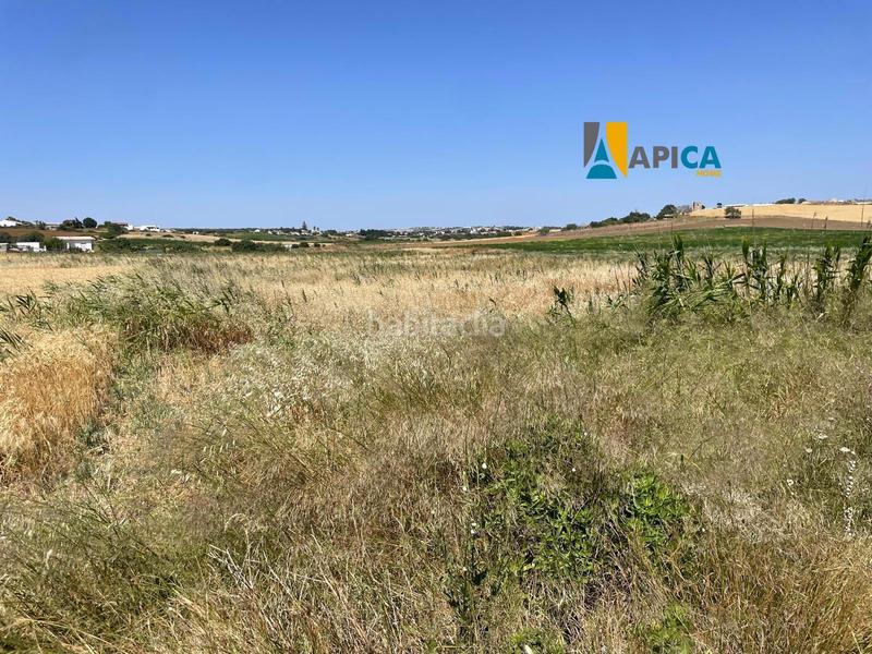 Foto cf527c4f-de31-4c45-90ee-36f3f82f4ee3. Fondo rustico in Conil Conil de la Frontera