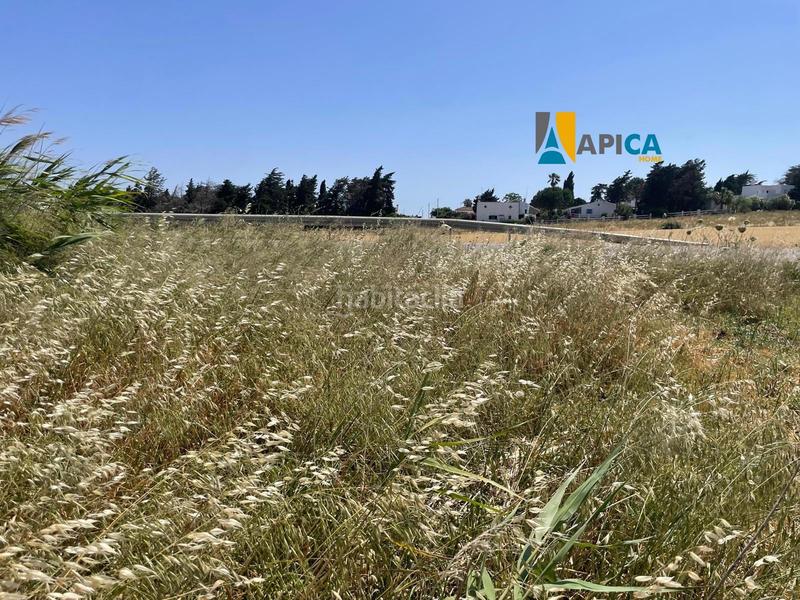 Foto e7c8e7df-de11-4ad9-8b3e-f44f18c47b5c. Fondo rustico in Conil Conil de la Frontera