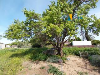 Finca rústica a Barrio Nuevo. Parcela segregada en venta en conil de la frontera, zona barrio