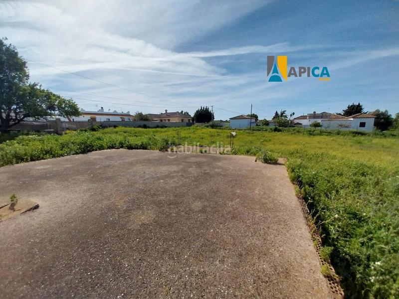 Foto 13862c24-d05b-4f57-a027-96d70991a5a6. Finca rústica a Barrio Nuevo Conil de la Frontera