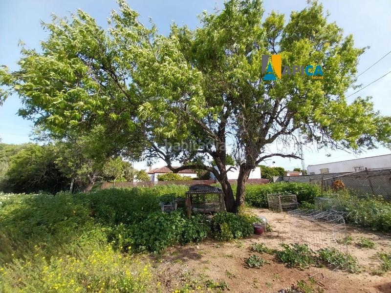 Foto 1bcf8bd5-ce67-413d-b7eb-1a77e0fe8d6f. Finca rústica a Barrio Nuevo Conil de la Frontera