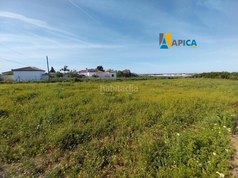 Foto 3f07c43d-d7ec-437d-92bb-2071b490cdc3. Finca rústica a Barrio Nuevo Conil de la Frontera
