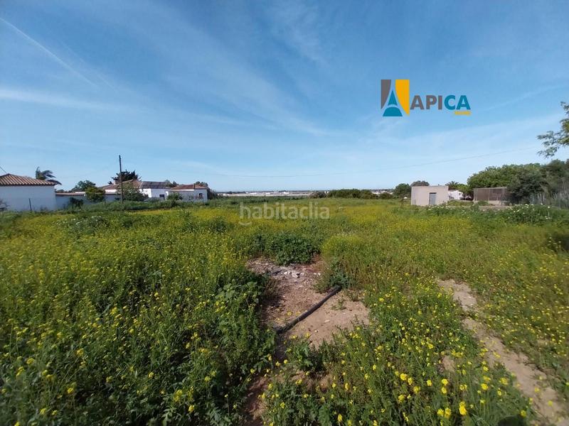 Foto 42e9de94-22a8-4b93-89eb-715938482305. Finca rústica a Barrio Nuevo Conil de la Frontera