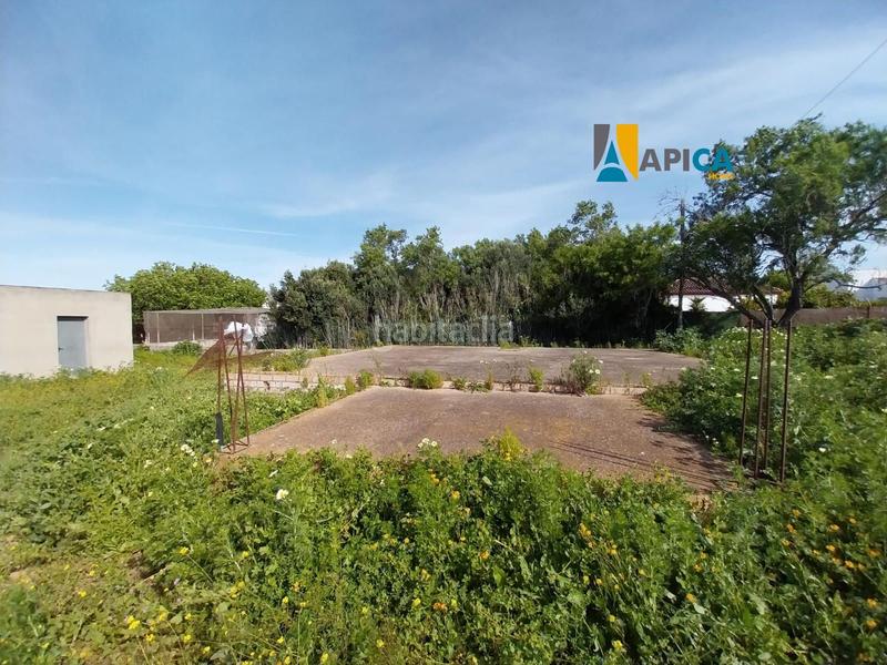 Foto 445e1028-8581-47a8-9a5e-b0b9ea0f4d24. Finca rústica a Barrio Nuevo Conil de la Frontera