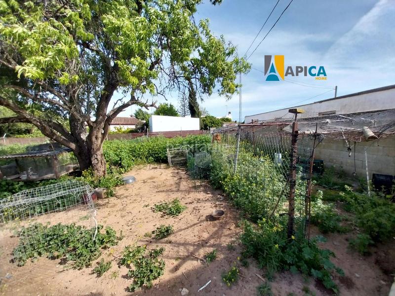 Foto 45dd7f59-ead7-4153-ad7e-a38b1380a299. Finca rústica a Barrio Nuevo Conil de la Frontera