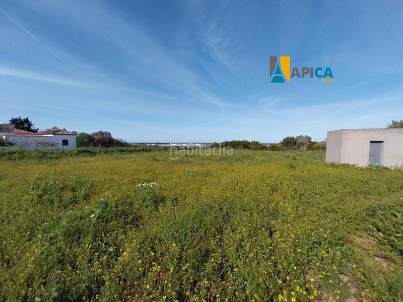 Foto 546e5859-077e-4131-836f-fac0ad9a86e4. Finca rústica a Barrio Nuevo Conil de la Frontera