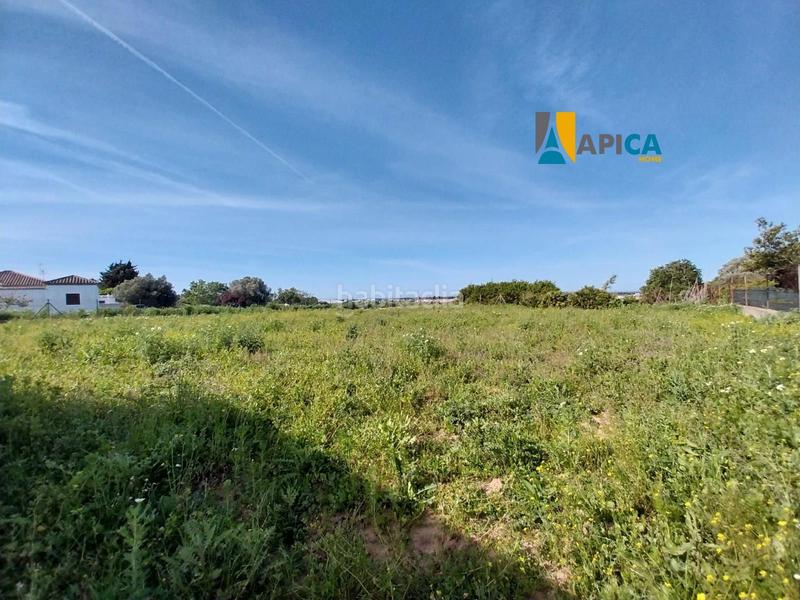 Foto 5baa358e-69bf-474e-8aba-0221146133c0. Finca rústica a Barrio Nuevo Conil de la Frontera