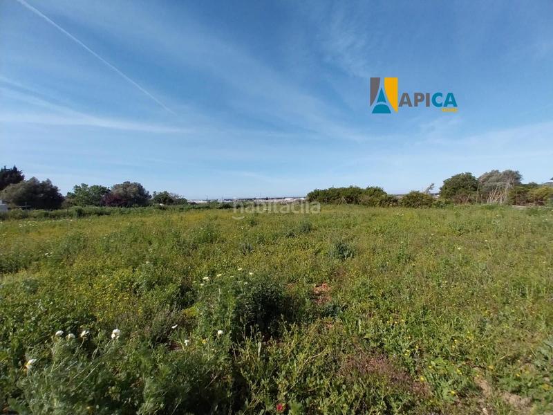 Foto 68271c30-1876-40e9-9ea9-7cc1d7310ee3. Finca rústica a Barrio Nuevo Conil de la Frontera