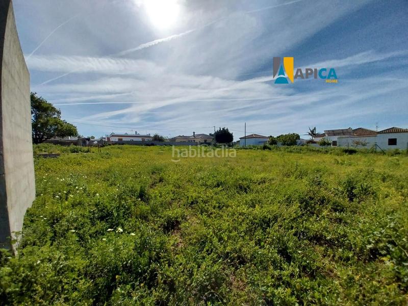 Foto 7f3703e4-28f4-4ff6-aee7-7b871a1fd5cb. Finca rústica a Barrio Nuevo Conil de la Frontera