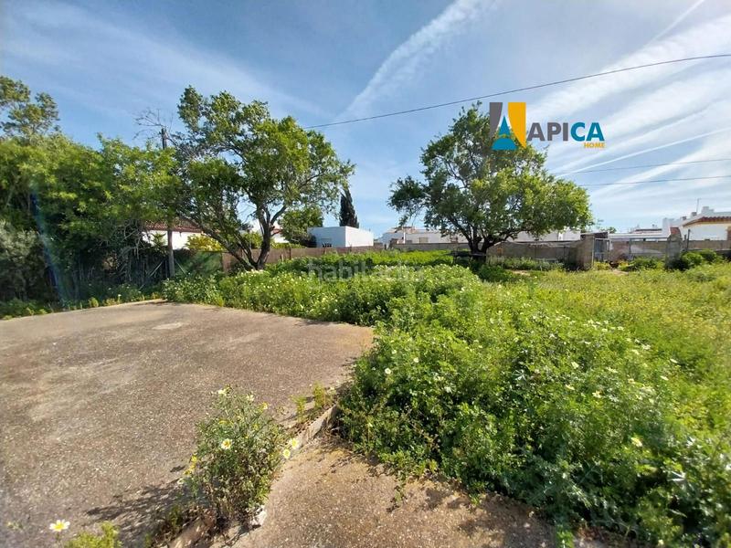 Foto 887d1dbc-b4f0-4b9e-8a34-4d38cc910bf3. Finca rústica a Barrio Nuevo Conil de la Frontera