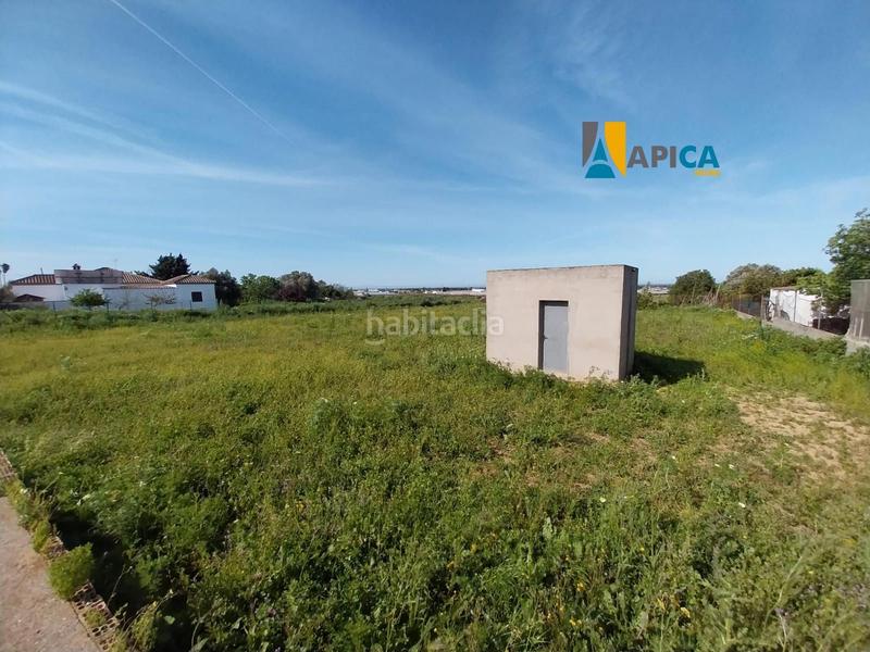Foto 8a8d498d-86cc-4af8-a866-3c4908ede2d0. Finca rústica a Barrio Nuevo Conil de la Frontera