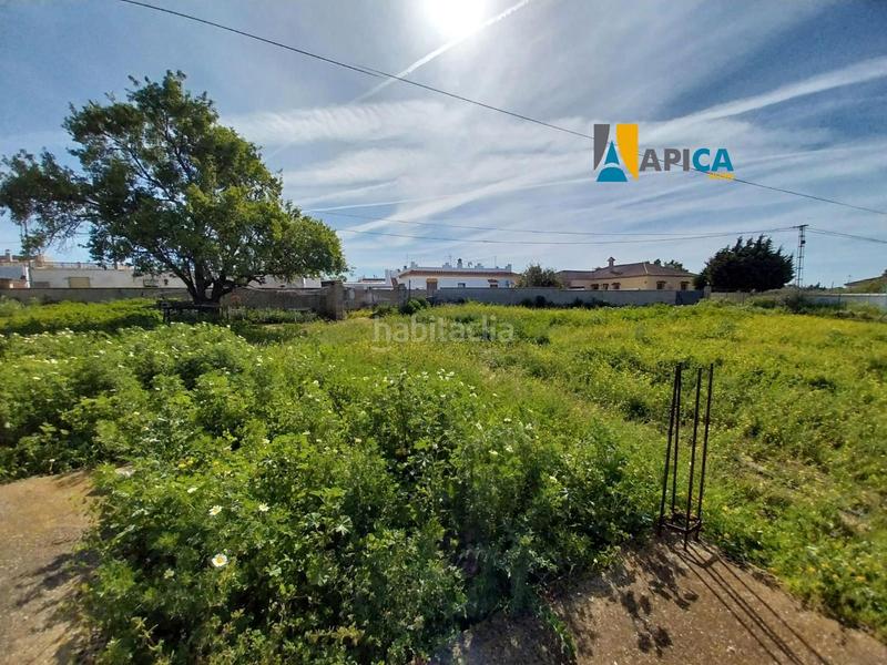 Foto 99ed45f9-c5e9-490b-be18-30794a9cfdfb. Finca rústica a Barrio Nuevo Conil de la Frontera