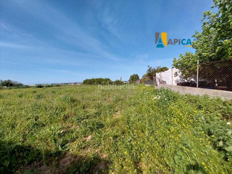 Foto a8122767-f31f-48f5-96cf-3b2e6713fed4. Finca rústica a Barrio Nuevo Conil de la Frontera