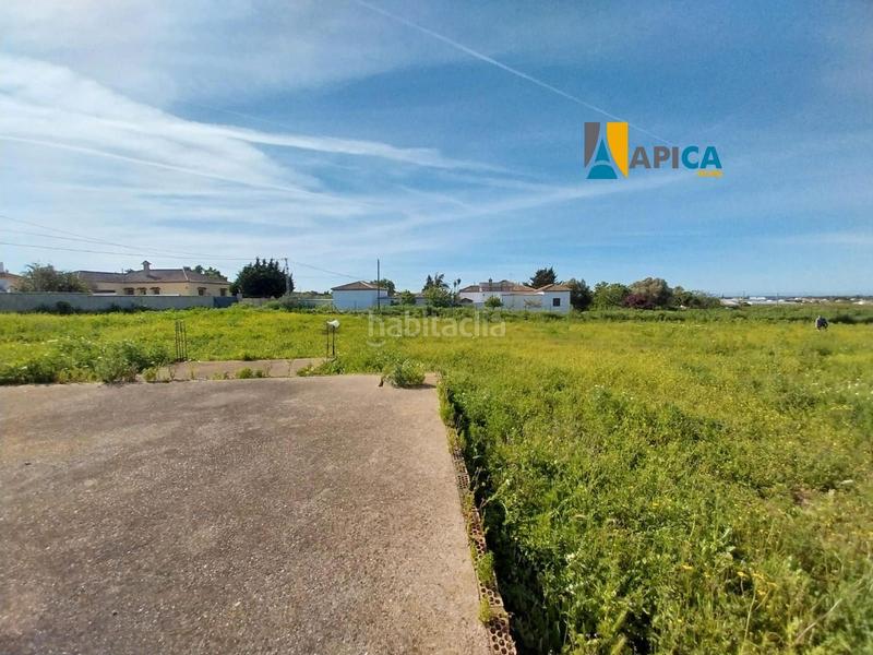 Foto b70caf8a-8be1-4963-b39a-c4c97d536a38. Finca rústica a Barrio Nuevo Conil de la Frontera