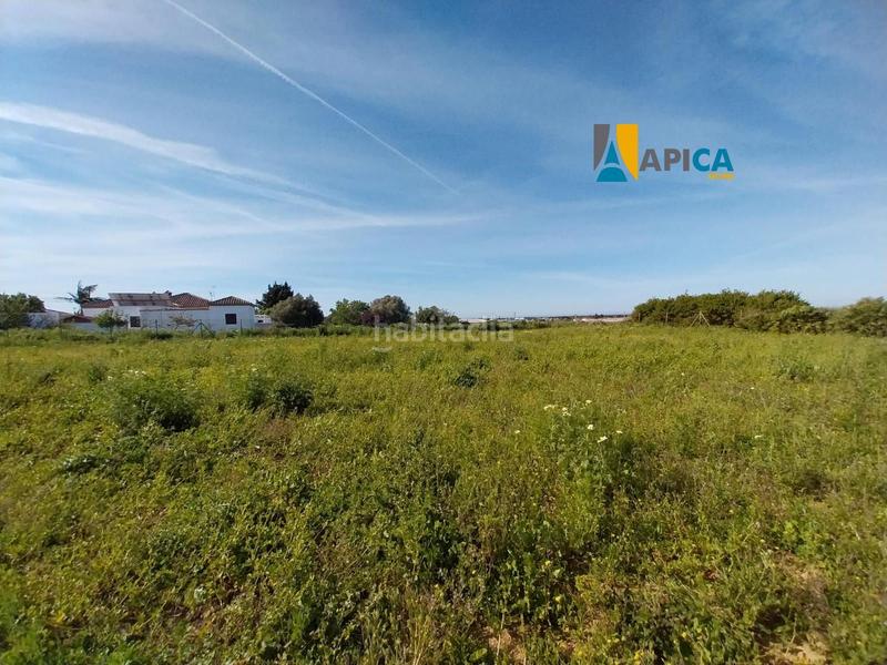 Foto d334f2d6-6850-4f7d-9bad-840d383a5c5e. Finca rústica a Barrio Nuevo Conil de la Frontera