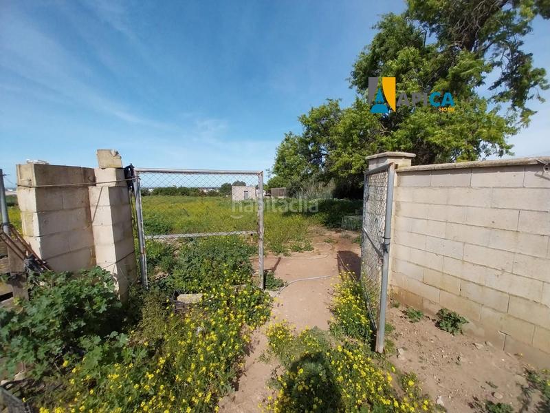 Foto e56307e3-07ee-4771-9aa7-defae0db4497. Finca rústica a Barrio Nuevo Conil de la Frontera