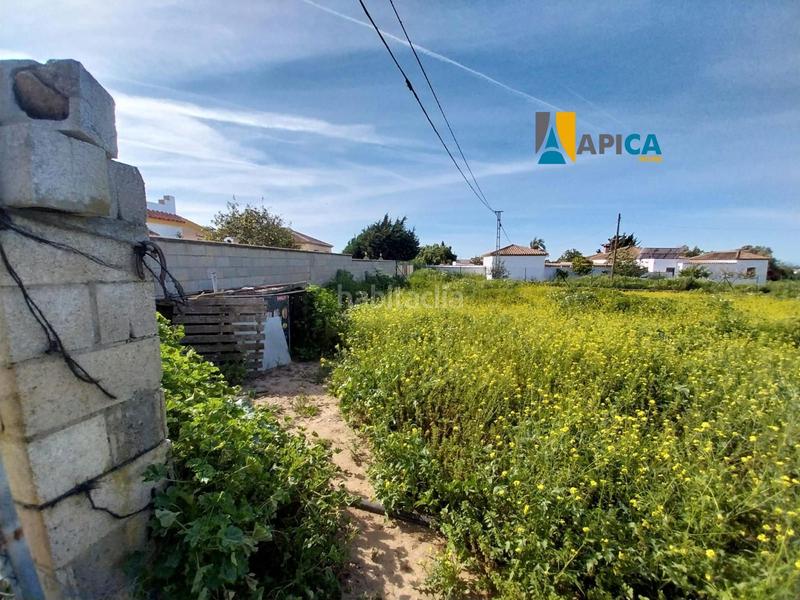 Foto ea6682d2-c060-4fff-be1b-42605409d9eb. Finca rústica a Barrio Nuevo Conil de la Frontera
