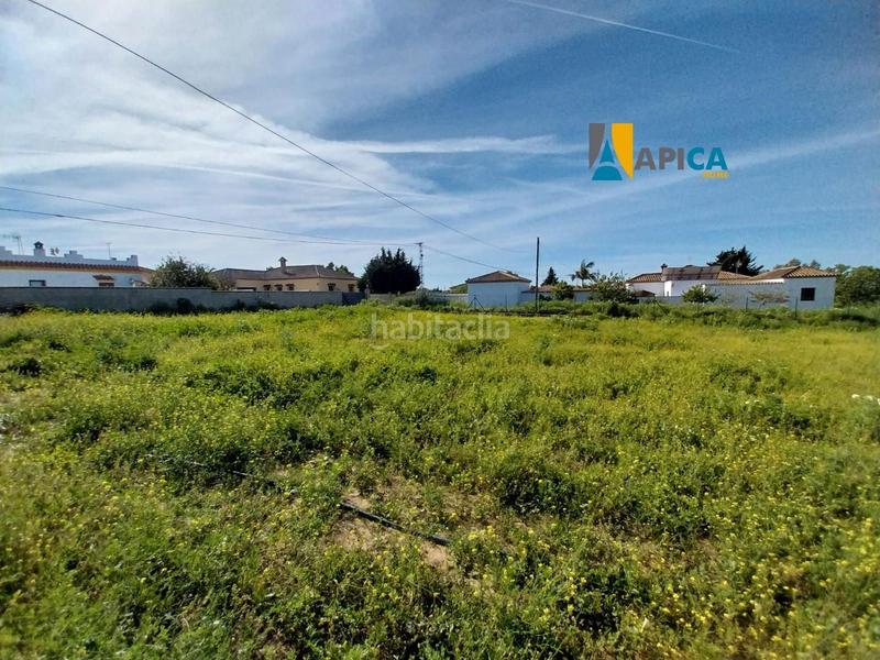 Foto edc64e7d-fadf-4758-8095-542a8e542f25. Finca rústica a Barrio Nuevo Conil de la Frontera