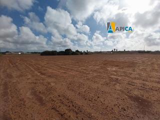 Finca rústica a Roche. Parcela en venta en conil de la frontera, zona parcelas de roche