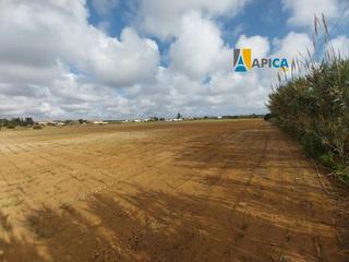 Finca rústica a Roche. Parcela en venta en conil de la frontera, zona parcelas de roche