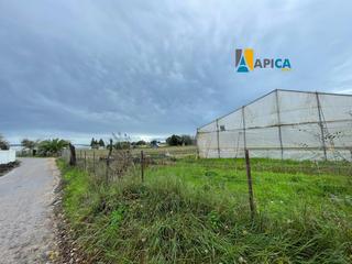 Finca rústica a Barbate. Parcela de regadío segregada en venta en la ribera de la oliva,
