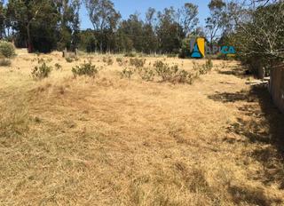 Finca rústica a El Zabal-Santa Margarita. Solar urbano  en venta, en la línea de la concepción