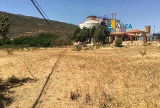 Finca rústica en El Zabal-Santa Margarita. Solar urbano  en venta, en la línea de la concepción