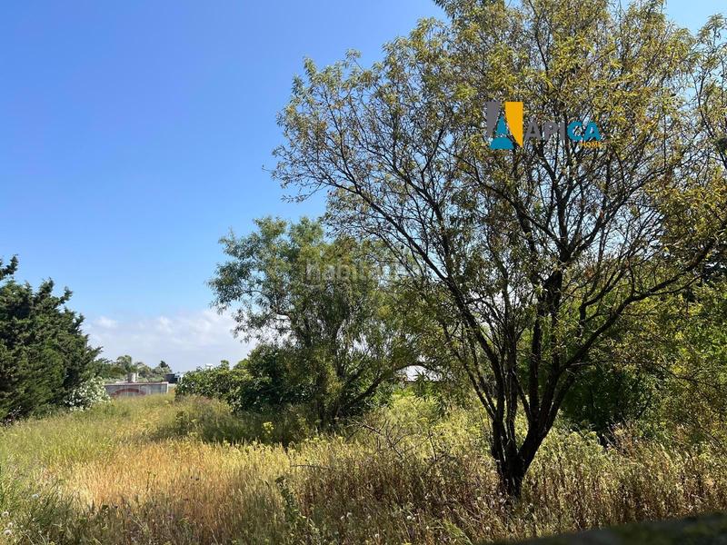 Foto 260a387a-f76d-4f08-bdb4-a3de5cd48fa9. Finca rústica a Roche Conil de la Frontera