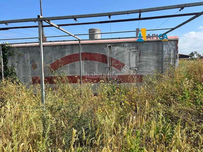 Foto 3606f0e3-6e5b-4eb3-a984-7046d9776803. Finca rústica a Roche Conil de la Frontera