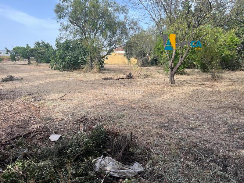 Foto 533be39c-26b0-48d0-98cc-8814f5d31203. Finca rústica a Roche Conil de la Frontera