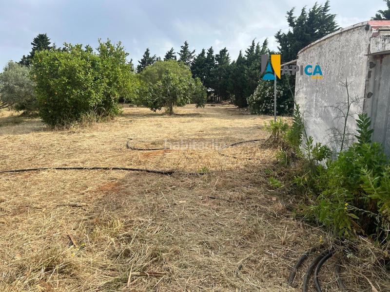 Foto 57fa4171-3217-4dc6-88bd-97b7b45be25f. Finca rústica a Roche Conil de la Frontera